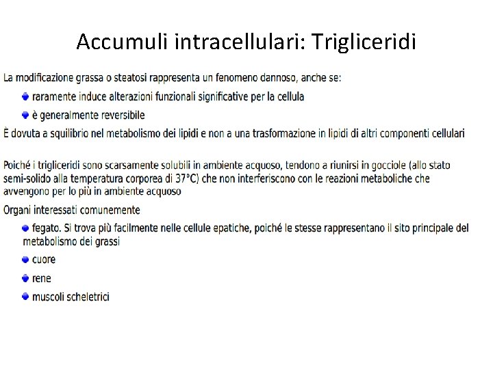 Accumuli intracellulari: Trigliceridi 