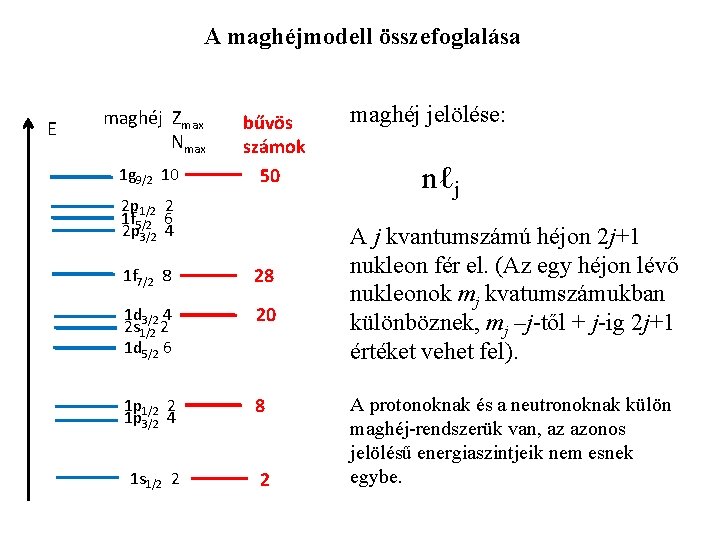 A maghéjmodell összefoglalása E maghéj Zmax Nmax 1 g 9/2 10 bűvös számok 50