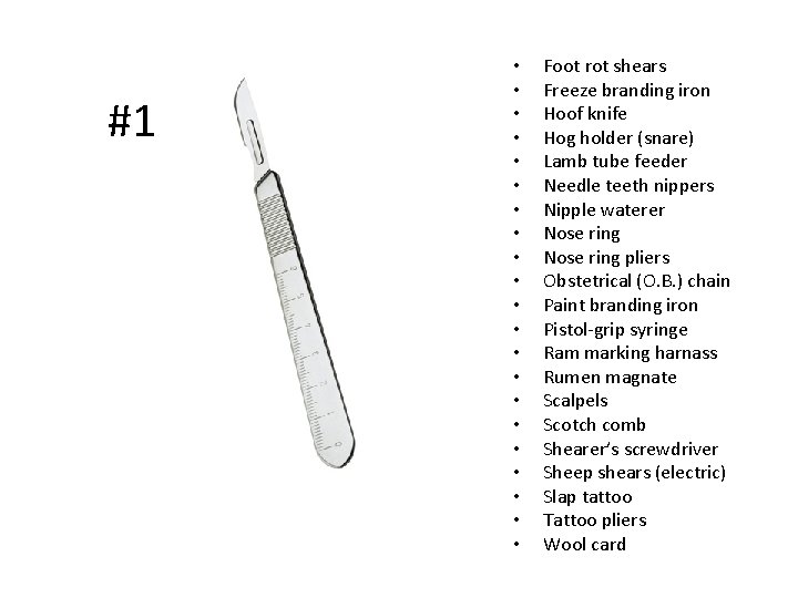 Livestock Skillathon Livestock Equipment Identification 2 1 Foot