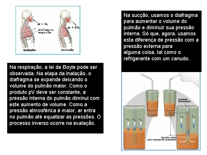 Na sucção, usamos o diafragma para aumentar o volume do pulmão e diminuir sua