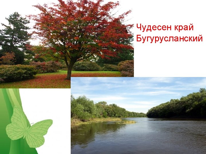 Чудесен край Бугурусланский Free Powerpoint Templates Page 11 