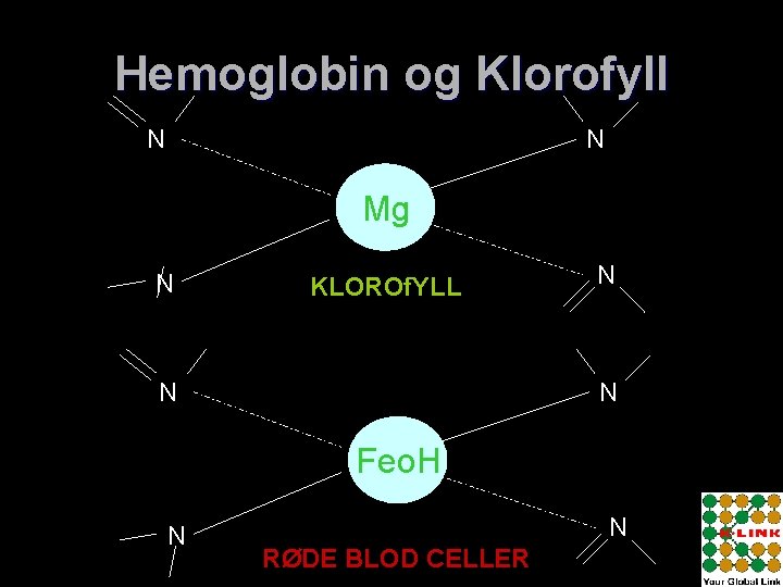 Hemoglobin og Klorofyll N N Mg N KLOROf. YLL N N N Feo. H