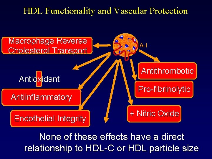HDL Functionality and Vascular Protection Macrophage Reverse Cholesterol Transport Antioxidant Antiinflammatory Endothelial Integrity A-I