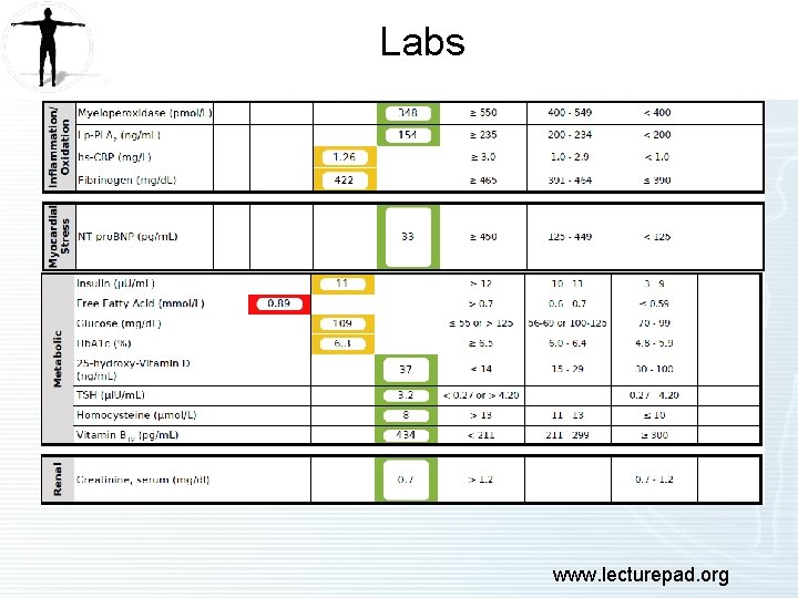 Labs www. lecturepad. org 