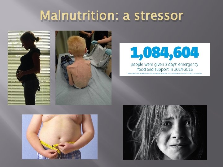 Malnutrition: a stressor 