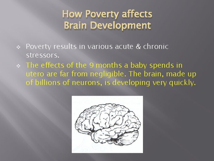 How Poverty affects Brain Development v v Poverty results in various acute & chronic