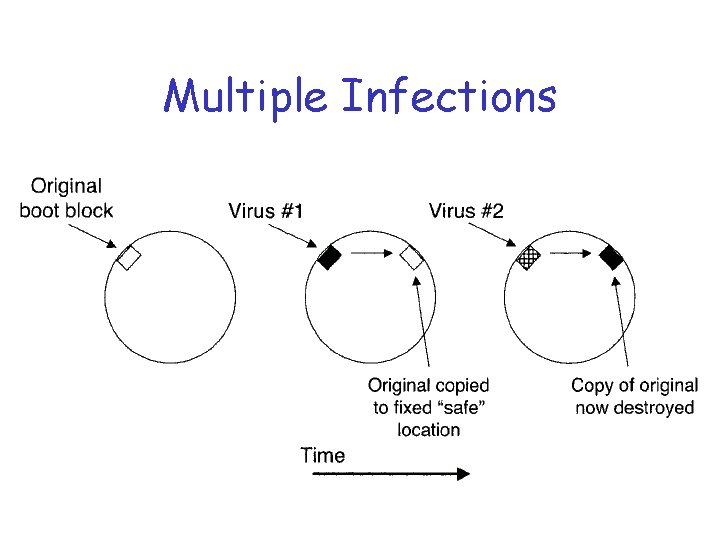 Multiple Infections 