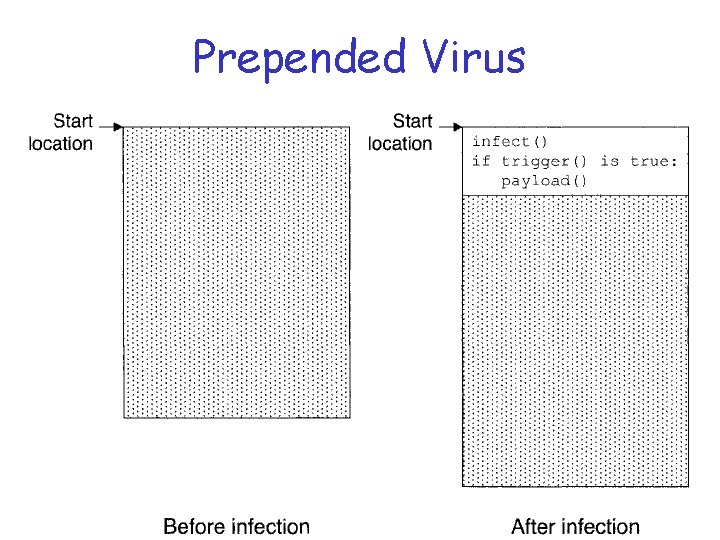 Prepended Virus 