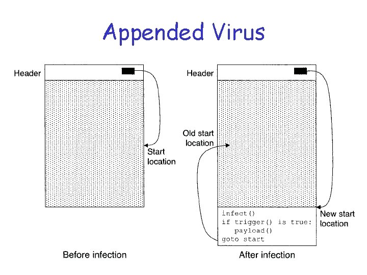 Appended Virus 