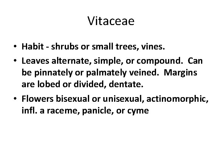 Vitaceae • Habit - shrubs or small trees, vines. • Leaves alternate, simple, or