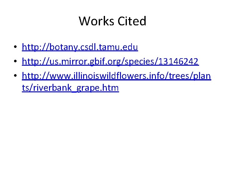 Works Cited • http: //botany. csdl. tamu. edu • http: //us. mirror. gbif. org/species/13146242