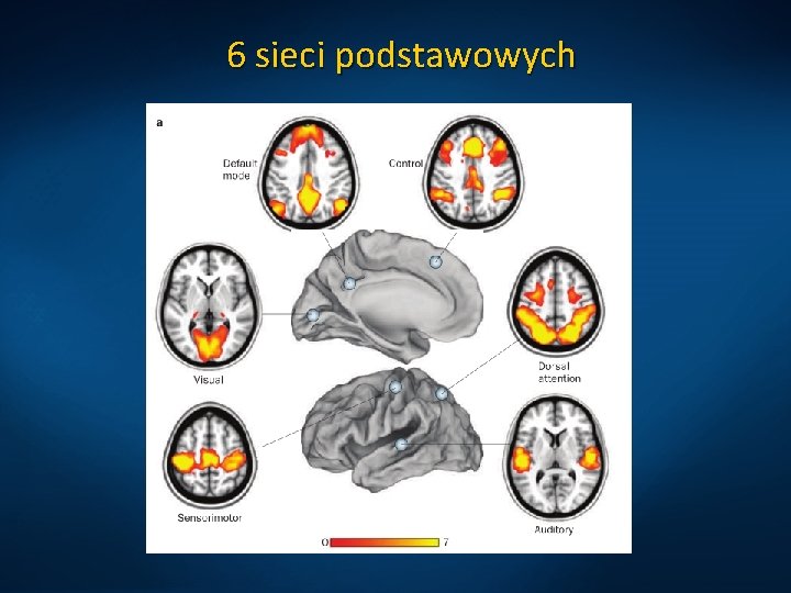 6 sieci podstawowych 