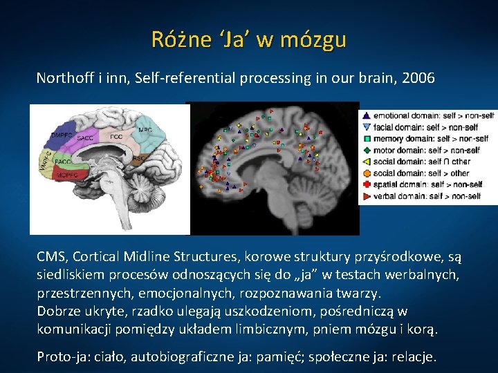 Różne ‘Ja’ w mózgu Northoff i inn, Self-referential processing in our brain, 2006 CMS,