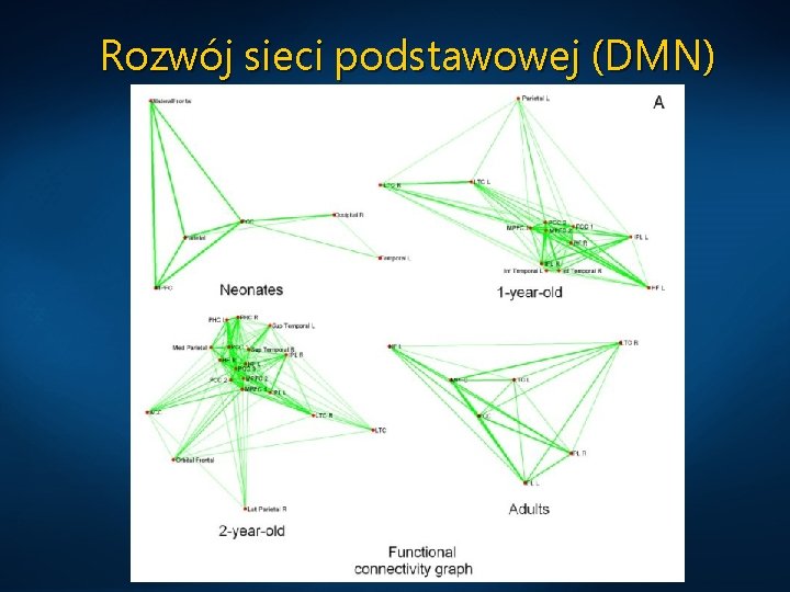 Rozwój sieci podstawowej (DMN) 