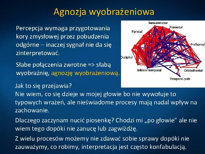 Agnozja wyobrażeniowa Percepcja wymaga przygotowania kory zmysłowej przez pobudzenia odgórne – inaczej sygnał nie