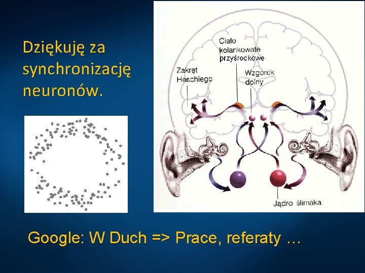 Dziękuję za synchronizację neuronów. Google: W Duch => Prace, referaty … 