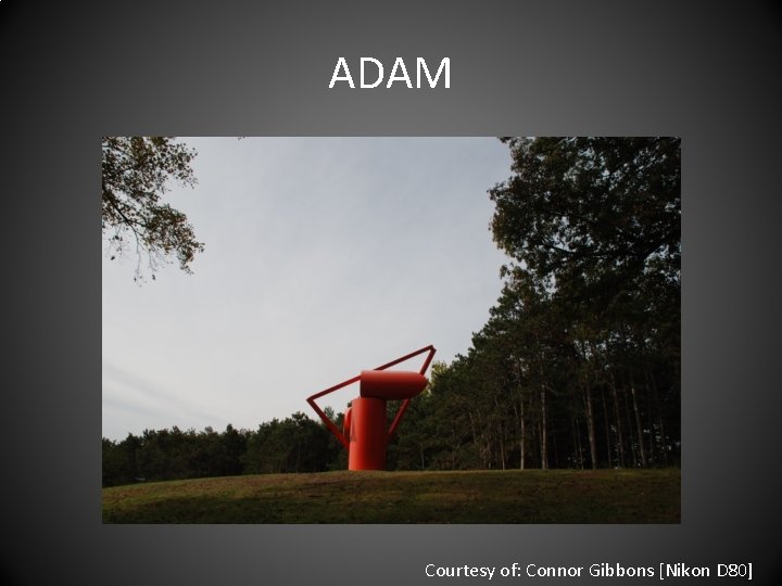 ADAM Courtesy of: Connor Gibbons [Nikon D 80] 
