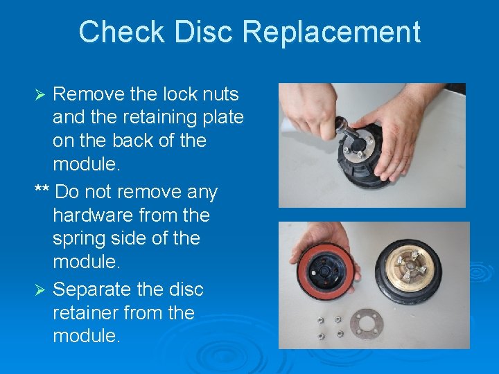 Check Disc Replacement Remove the lock nuts and the retaining plate on the back