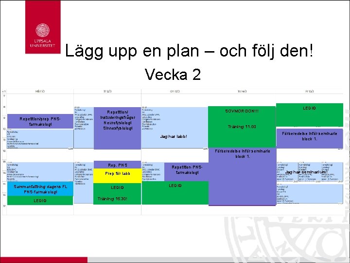 Lägg upp en plan – och följ den! Vecka 2 Repetition/prep PNSfarmakologi SOVMORGON!!! Förberedelse