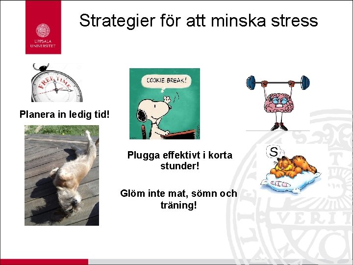 Strategier för att minska stress Planera in ledig tid! Plugga effektivt i korta stunder!