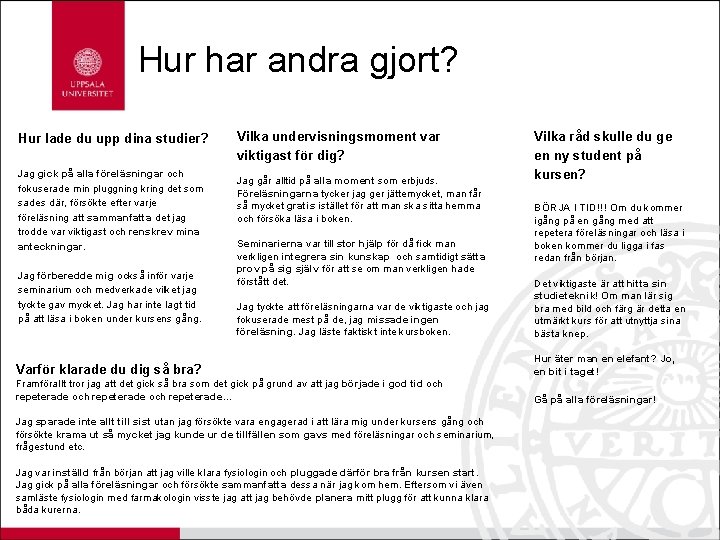 Hur har andra gjort? Hur lade du upp dina studier? Jag gick på alla