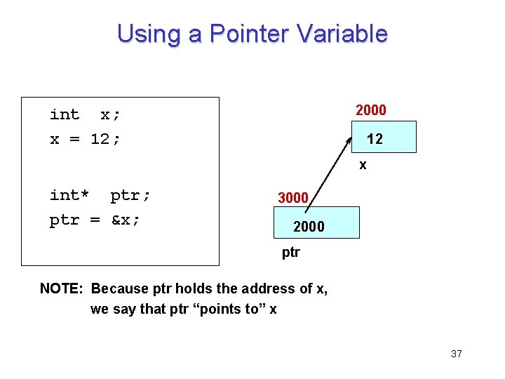 Using a Pointer Variable 2000 int x; x = 12; 12 x int* ptr;