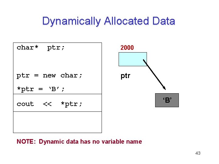 Dynamically Allocated Data char* ptr; ptr = new char; 2000 ptr *ptr = ‘B’;