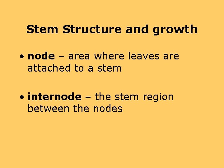 Stem Structure and growth • node – area where leaves are attached to a