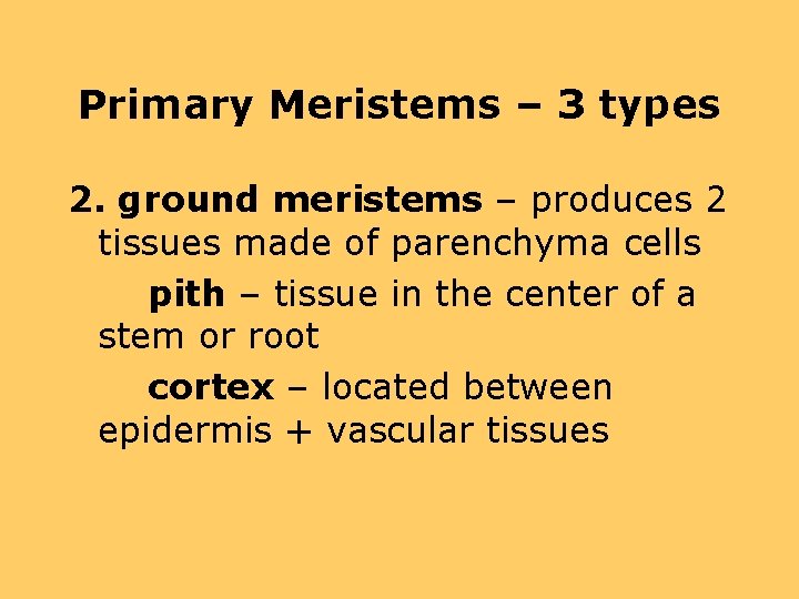 Primary Meristems – 3 types 2. ground meristems – produces 2 tissues made of