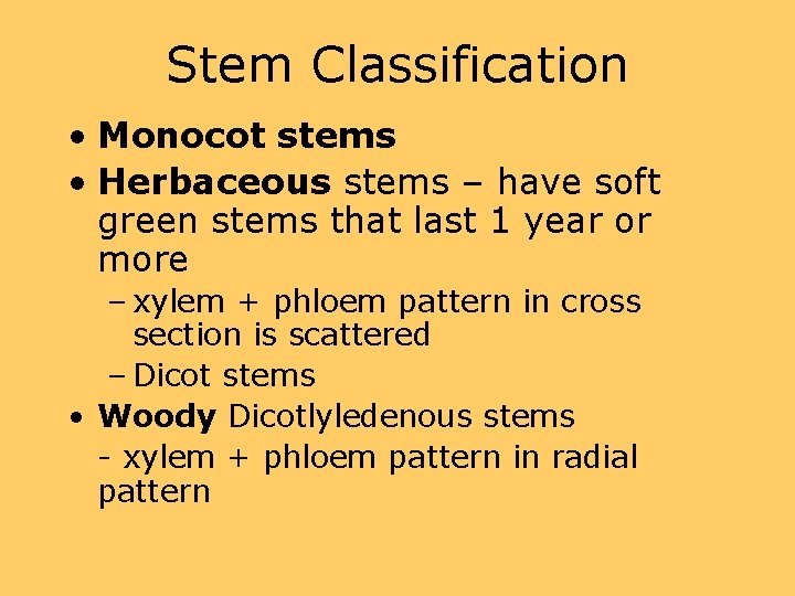 Stem Classification • Monocot stems • Herbaceous stems – have soft green stems that
