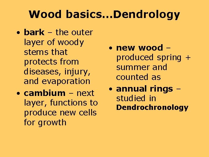 Wood basics…Dendrology • bark – the outer layer of woody stems that protects from