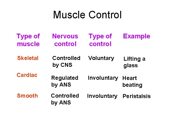 Muscle Control Type of muscle Nervous control Type of control Example Skeletal Controlled by