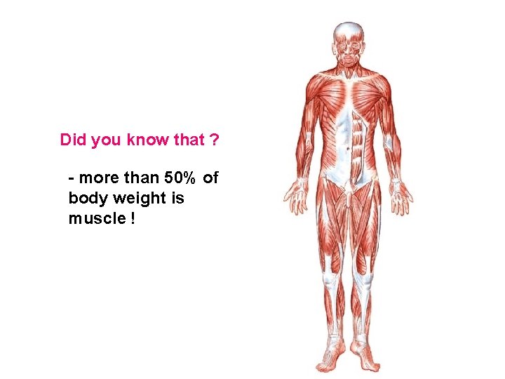 Did you know that ? - more than 50% of body weight is muscle