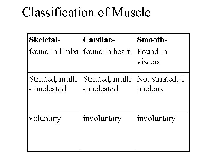 Classification of Muscle Skeletal. Cardiac. Smoothfound in limbs found in heart Found in viscera