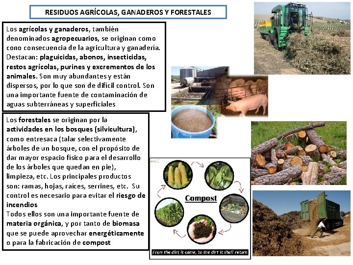 RESIDUOS AGRÍCOLAS, GANADEROS Y FORESTALES Los agrícolas y ganaderos, también denominados agropecuarios, se originan