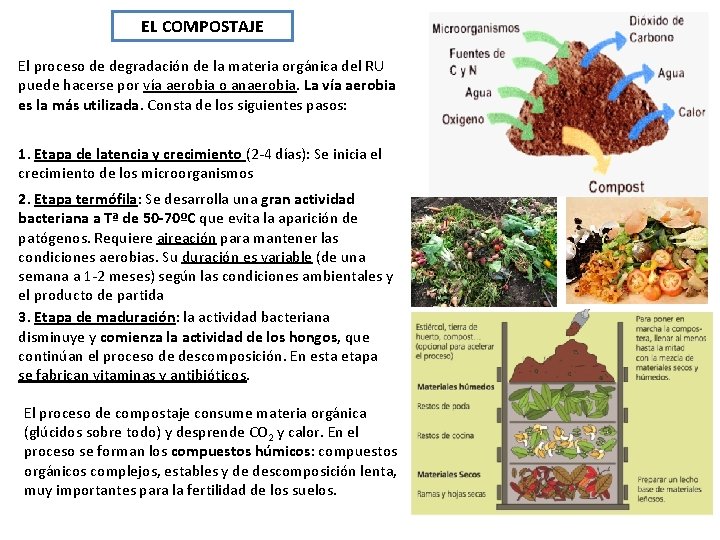 EL COMPOSTAJE El proceso de degradación de la materia orgánica del RU puede hacerse