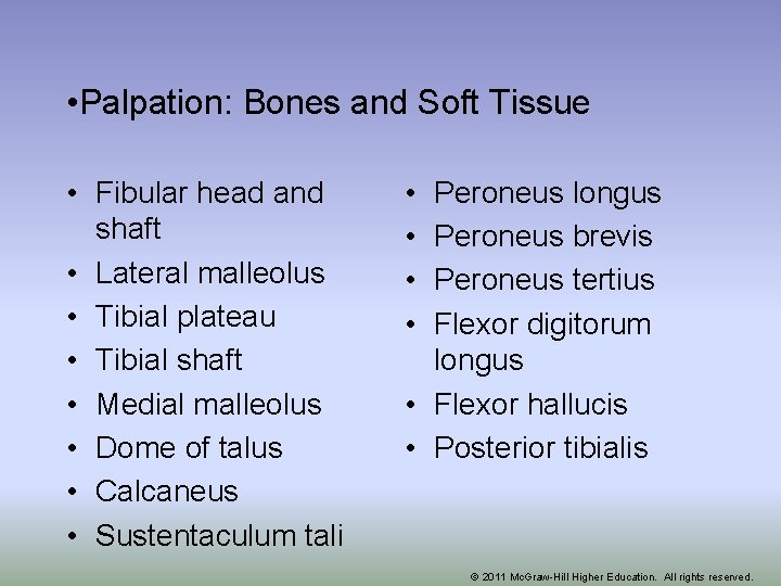  • Palpation: Bones and Soft Tissue • Fibular head and shaft • Lateral