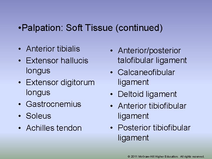  • Palpation: Soft Tissue (continued) • Anterior tibialis • Extensor hallucis longus •