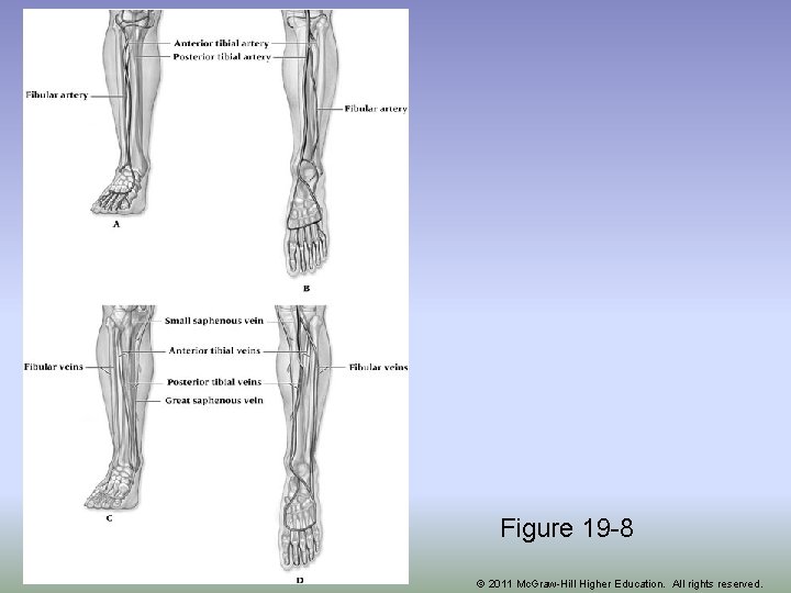 Figure 19 -8 © 2011 Mc. Graw-Hill Higher Education. All rights reserved. 