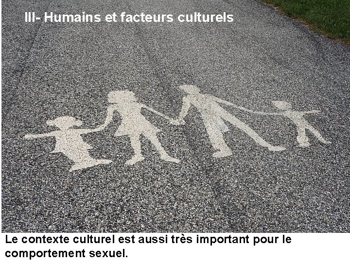 III- Humains et facteurs culturels Le contexte culturel est aussi très important pour le