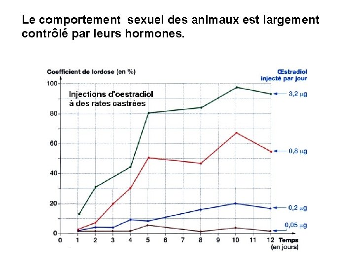 Le comportement sexuel des animaux est largement contrôlé par leurs hormones. 