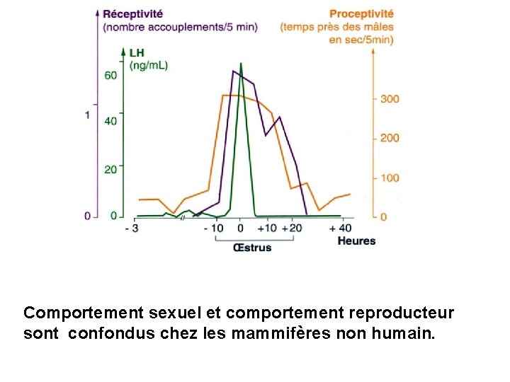 Comportement sexuel et comportement reproducteur sont confondus chez les mammifères non humain. 