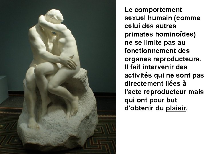 Le comportement sexuel humain (comme celui des autres primates hominoïdes) ne se limite pas