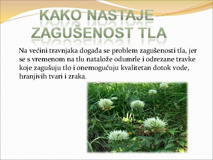 Na većini travnjaka događa se problem zagušenosti tla, jer se s vremenom na tlu