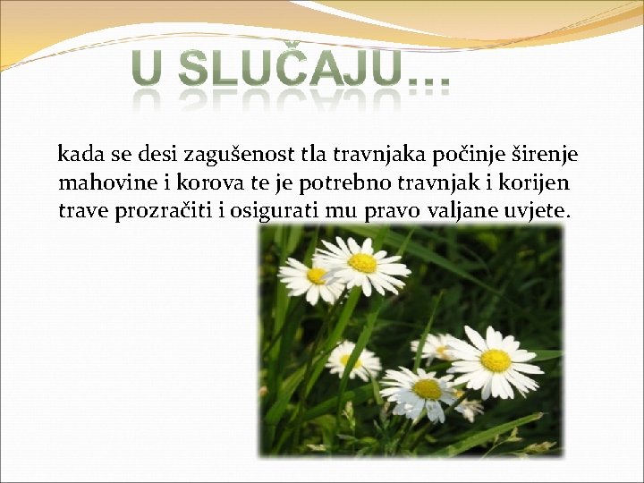 kada se desi zagušenost tla travnjaka počinje širenje mahovine i korova te je potrebno