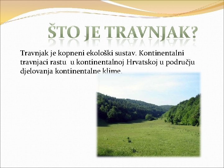 Travnjak je kopneni ekološki sustav. Kontinentalni travnjaci rastu u kontinentalnoj Hrvatskoj u području djelovanja