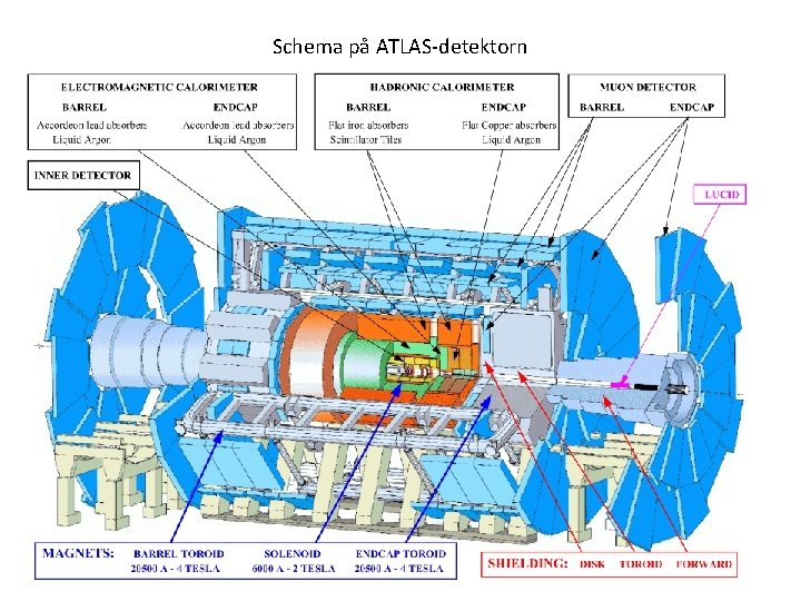 Schema på ATLAS detektorn 