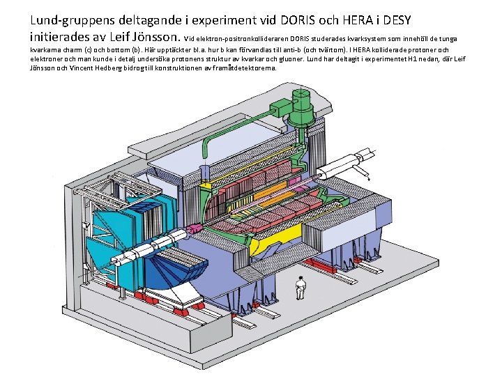Lund gruppens deltagande i experiment vid DORIS och HERA i DESY initierades av Leif