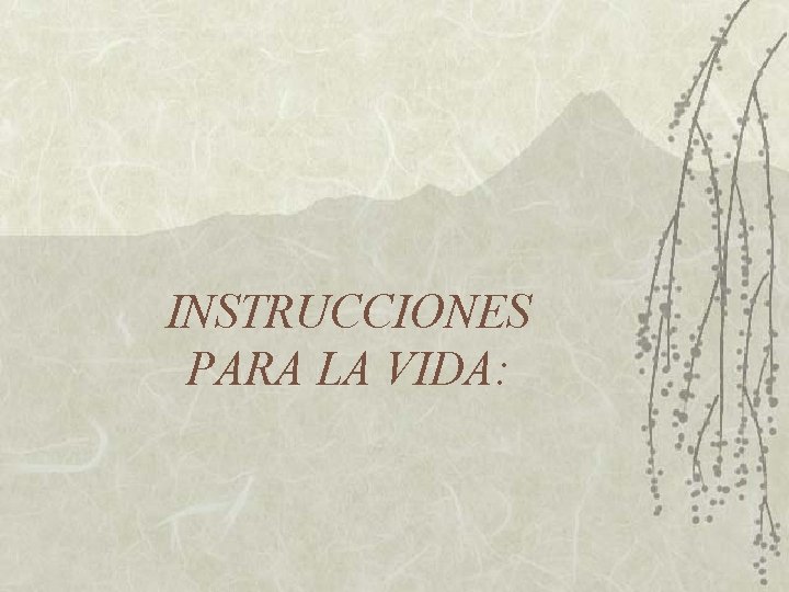 INSTRUCCIONES PARA LA VIDA: 