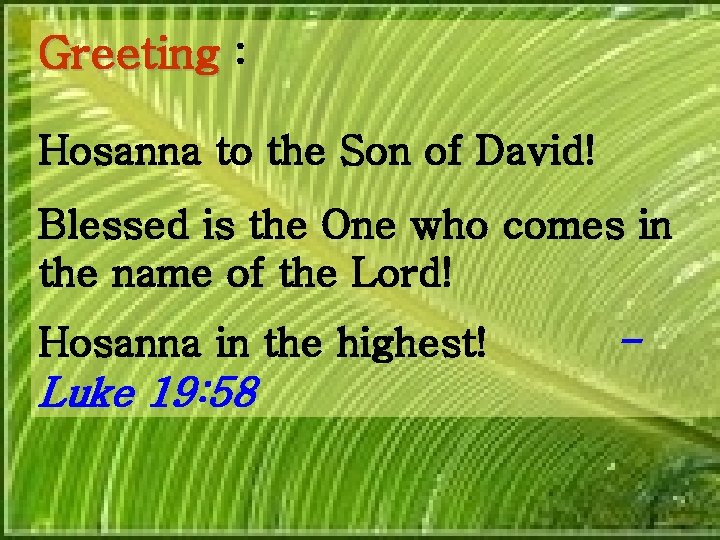 Greeting : Hosanna to the Son of David! Blessed is the One who comes